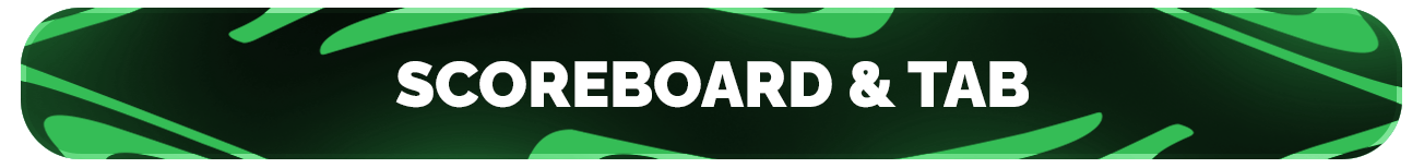 zsb_h_scoreboard_tab.png